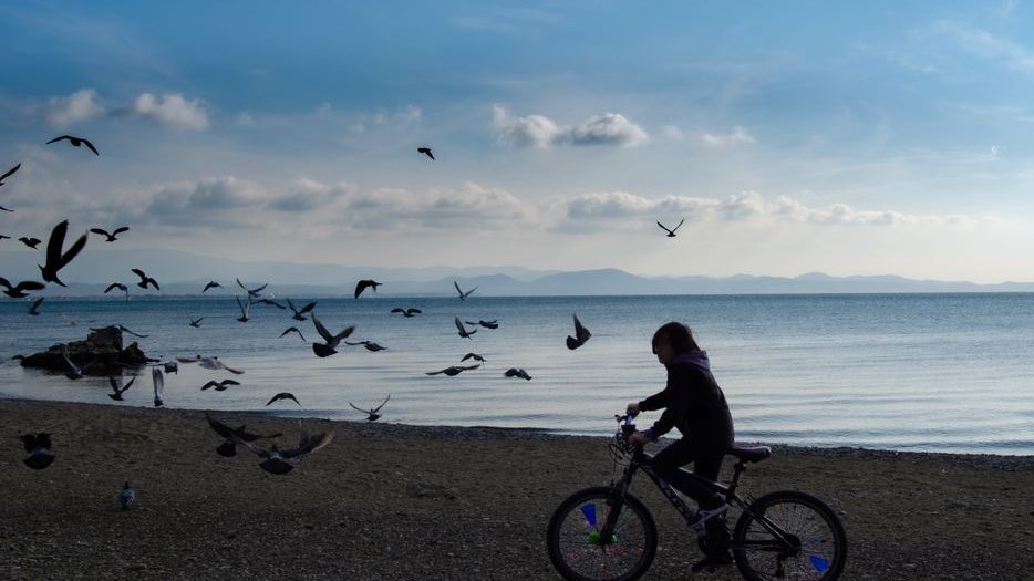 A pelican riding a bicycle in a surreal scene with text questioning if the image is a useful AI benchmark test